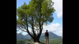 Mallorca - GR221 & Hiking