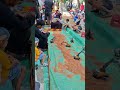 mainan apa ini ya namanya 😍