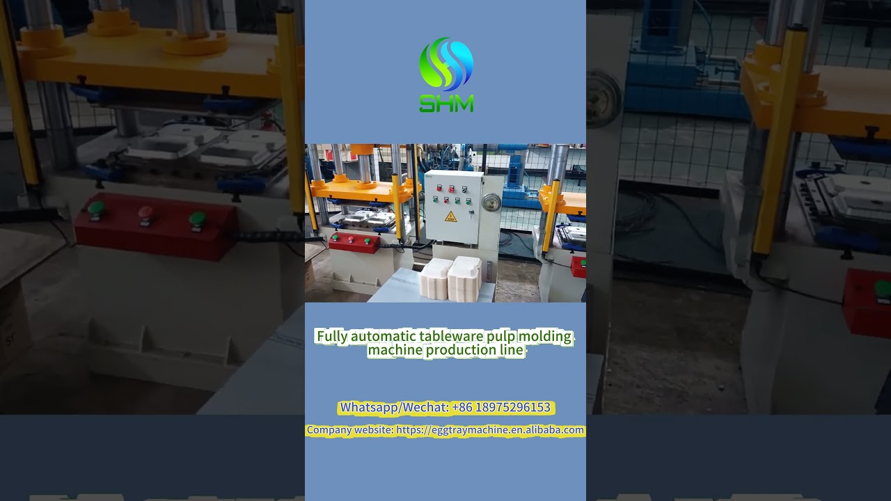 Fully automatic tableware pulp molding machine production line 