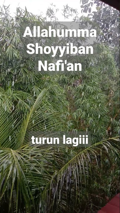 Allahumma Shoyyiban Nafi'an #fyp #hujan #tni