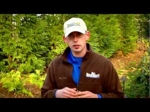 How to Fertilize your Lawn - Unlimited Landscaping Video Blog