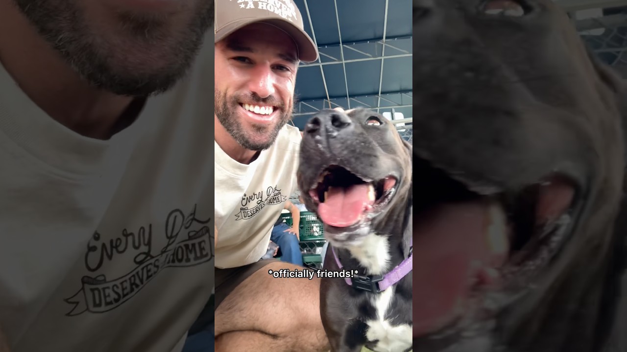 Hanging out with sweet dog who has been stuck in shelter for a year