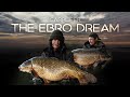 The Ebro Dream - Wild Carp Fishing Adventure with Samir and Claire