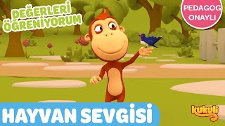 Yavru Kuşa Yardım Edelim 🐦 Hayvan Sevgi̇si̇ | Değerleri Öğreniyorum | Pedagog Onaylı Çizgi Film