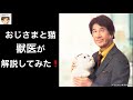 おじさまと猫を獣医が解説してみた！【第1話】〜ふくまるの品種、猫は夜行性？、名場面の違和感、猫グッズのオススメ〜