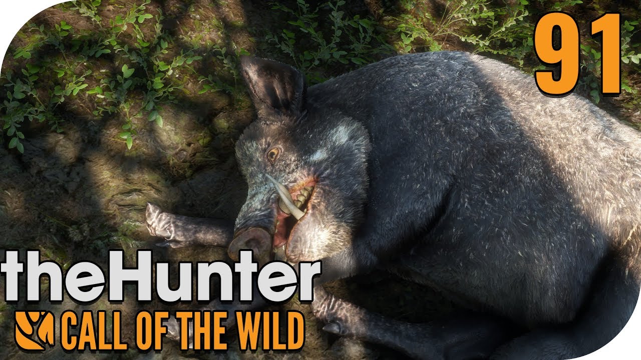 The Hunter Call Of The Wild Diamant Tiere Finden THE HUNTER: CALL OF THE WILD #91 - DIAMANT...ODER?! 🐗 || PantoffelPlays