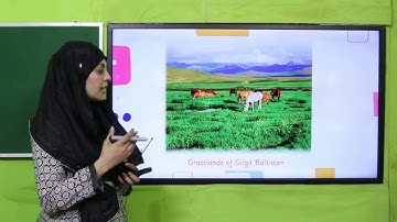 SST 4 Chapter 5 Part II Lecture 9 || SNC 2020 ||