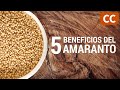 5 Beneficios del Amaranto | Ciencia de la Comida