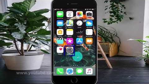 How to set screen color filters as Tritanopia on iPhone 6