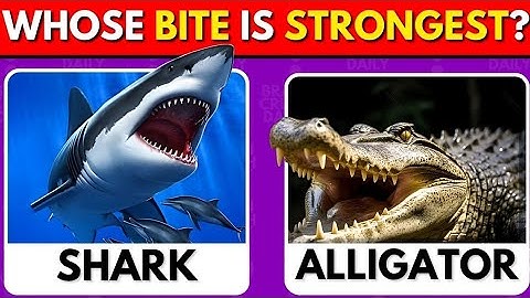 Animals Quiz 🐵🦁 General Knowledge Quiz