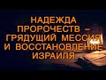 BS5000 Rus 23. Надежда пророчеств – грядущий Мессия и восстановление Израиля