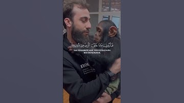 هَٰذَا خَلْقُ ٱللَّهِ بصوت هادئ قارئ محمد دیبیروف ماشاء الله❤