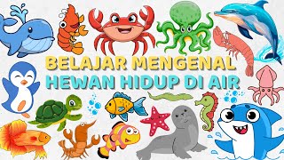 Mengenal Nama-Nama Hewan Hidup di Air Bahasa Indonesia & Bahasa Inggris Learn Water Animals