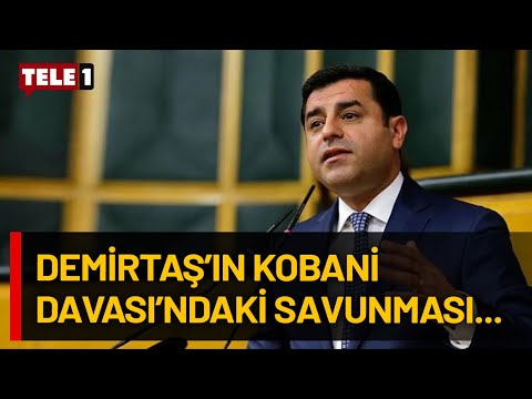 Selahattin Demirtaş'tan tek cümlelik savunma!