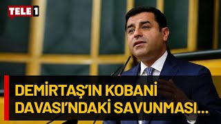 Selahattin Demirtaş'tan tek cümlelik savunma! Resimi