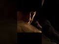 Gladiator Father Murderer Shorts Gladiator Father Murderer Shorts