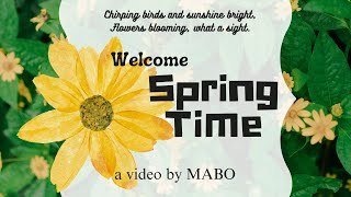 Welcome Spring (179)