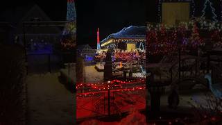 Шведская Красота!Только посмотрите🎄🎅