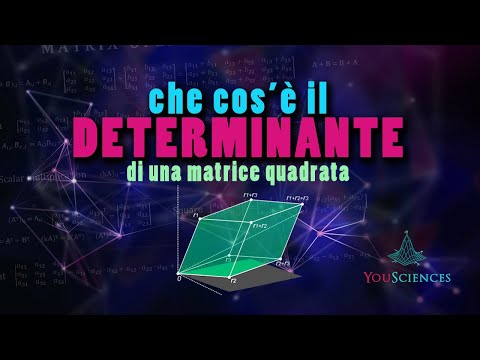 Video: Che cos'è una matrice decisionale ponderata?