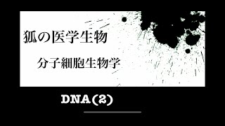 分子細胞生物学8 DNA(2)