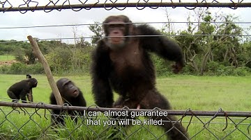 10% - What makes a hero   trailer