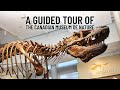 A guided tour of the canadian museum of nature