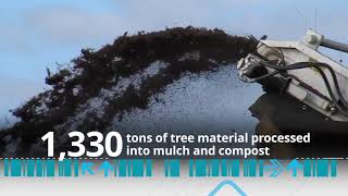 By The Numbers Christmas Tree Recycling