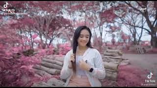 DJ ACAN REMIX,,,SATU HATi SAMPAI MATI,,,yeyen NOvita👍👍👍👍