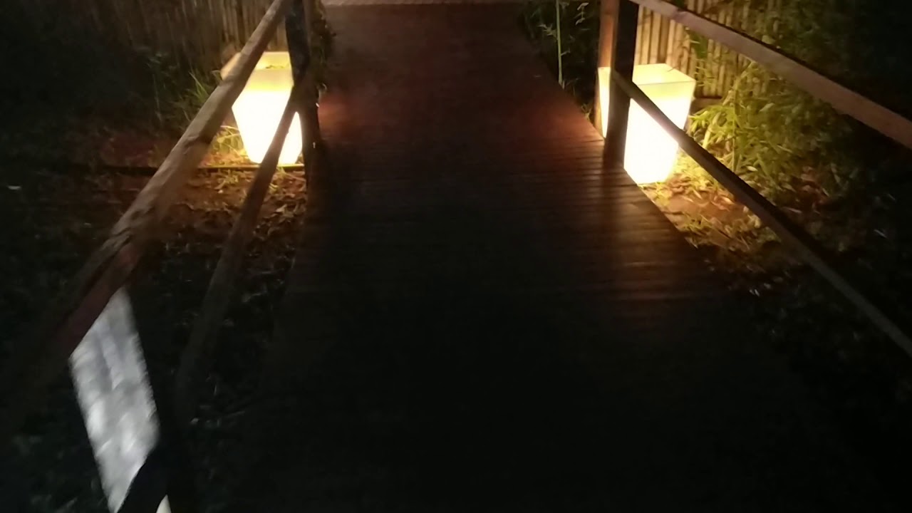 2017-11-07 Ambiente nocturno selvático. El Pueblito. Iguazú