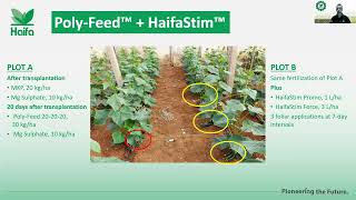 Powering Greenhouse Growth with Biostimulants Webinar
