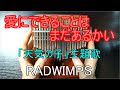 愛にできることはまだあるかい【演奏してみた：カリンバ】RADWIMPS：映画「天気の子」主題歌