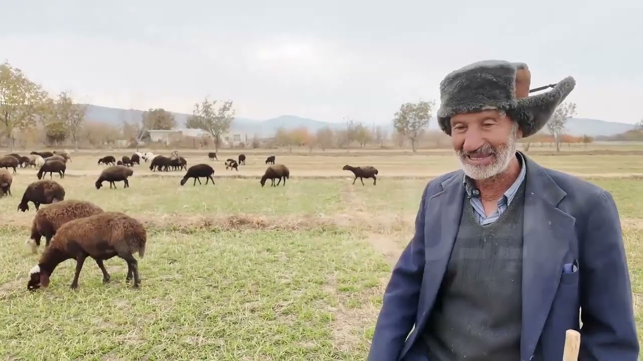 ❌محمد مسلمی‌زاده از روستای توچغاز ملایر❌ قسمت دوم | از عروسی هفت روزه تا کوسه‌گلین در روستا