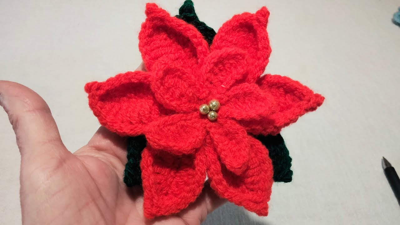 Blume Weihnachtsstern hkeln