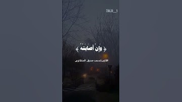💙💙💙🦋#المنشاوي #سورة_الحج