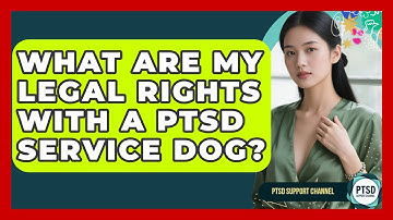 What Are My Legal Rights With A PTSD Service Dog? - PTSD Support Channel