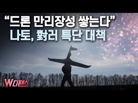 [W디펜스] &amp;quot;드론 <strong>만리장성</strong> 쌓는다&amp;quot; 나토, 對러 특단 대책 / 머니투데이방송