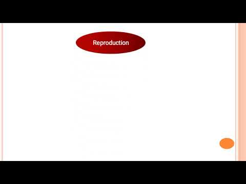    مقدمة ل علم أوليات الخلية