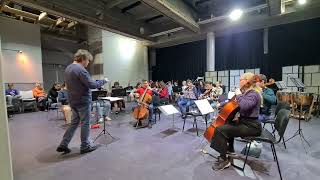 J. Haydn - Cello Concerto no 1 in C major, first movement