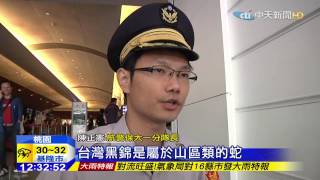 20150817中天新聞 桃機航廈竄小蛇 嚇壞旅客警消速抓