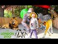 LONDON ZOO ANIMALS. The Best Zoo Animals in the World