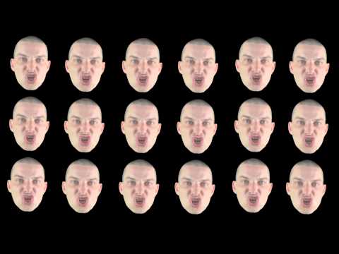 Steen - Leven