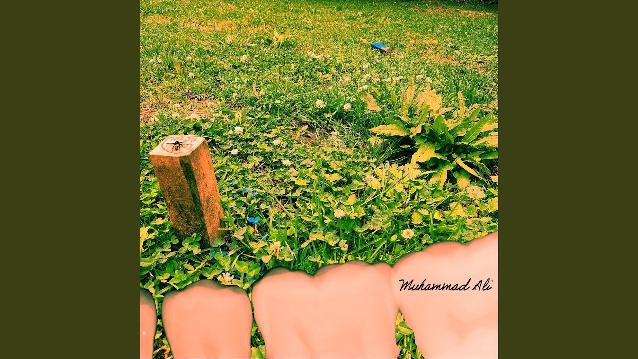 Watch Muhammad Ali on YouTube Watch Muhammad Ali on YouTube
