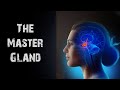 Which gland is known as master gland