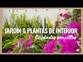 DECORACIÓN CON PLANTAS 🍃¿Como Cuido mi jardín y las plantas de Interior ?🌺CASA INFONAVIT | HOGAR