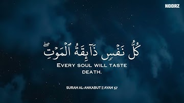 أرح سمعك.. تلاوة هادئة تريح القلب والعقل❤️😴 | ساعة كاملة🕛🎧 القارئ محمد هشام | Mohamed Hesham