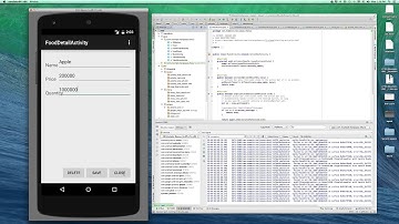 Ebus2 ScreenVideoDemo