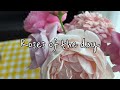 Roses of the Day | Plume rose, Ambridge rose, shinoburedo rose, Miyabi rose
