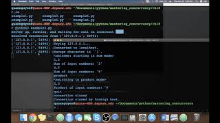 Mastering Concurrency in Python | 18. Building a Server from Scratch