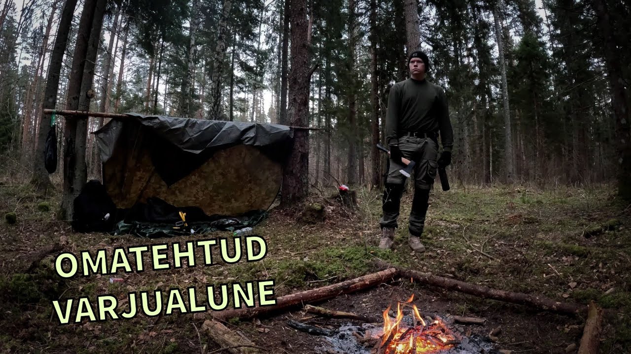 Öö metsas ilma telgita