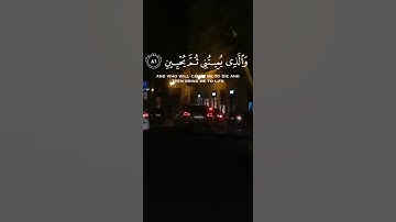 قرأن كريم ♡| سورة الشعراء |{ الذي خلقني فهو يهدين } | القارئ اسلام صبحي | كروما سوداء.